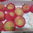 반딧불 가족농원 이미지