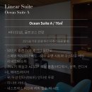 사우스 이미지