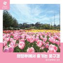 세븐일레븐의정부신곡효자점 | 꽃이 피는 순간을 담다! 의정부에서 즐기는 꽃구경