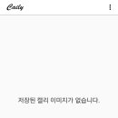 캐일리 이미지
