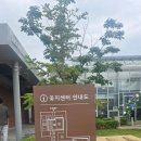 꽃;화지리