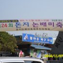 돈지백구마을 이미지