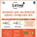 필안경 네이버블로그
