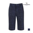 팜스프링스 이미지