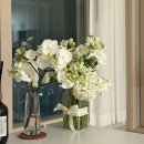 허그(HUG) | 우리은행 청년버팀목 전세자금대출 HUG허그 연장후기