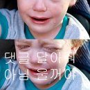 한강수목장 | 두산 - 중학교 1학년 음악 2학기 요점정리***