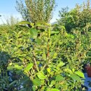 분동농장 이미지