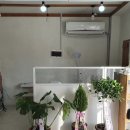이엘뷰티 스킨&바디