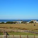 지상낙원 c 이미지