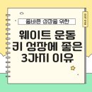 숨어있는 키성장 근력운동 | 감일 헬스장 엑시트짐 성장기 아이들의 필수 코스, 웨이트 운동이 키 성장에 좋은 3가지 이유