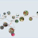 팔공산왕건길 3코스 이미지