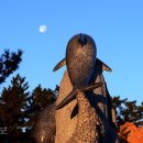 낭만 바다 이미지