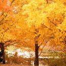 블루벤치 이미지