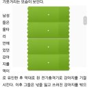 '전기충격기'로 반려견 기절시켜 납치하는 개도둑 이미지