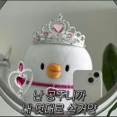 디어웨이브 | 5월 일상 : 육공주와 조금 빠른 듯한 여름휴가 풀빌라 후기, 강릉 디어 웨이브