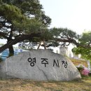 영주시니어클럽 쿠키뉴스