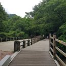 블챌 7주차: 220723 초보자 원주 치악산 등반 후기