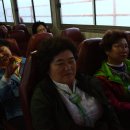 상주초등학교 이미지