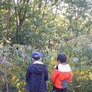 무봉농장 이미지