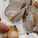승화네 크랩보트 델피노점 이미지