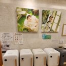 디어맘산후조리원 이미지