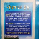 흥안양꼬치 - 연제구 미남로 22 | 흥안양꼬치
