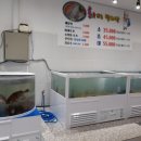 회뜨는박사장 네이버블로그