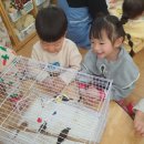 신기한나라어린이집 이미지