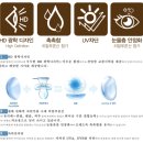 아이리스원 이미지