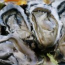 먹고보자 이미지