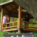 지니민박 이미지