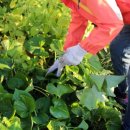 재학농장 이미지