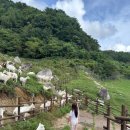 세이지우드 홍천 산양목장