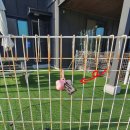 드라이.21 | 태안 애견 동반 숙소 추천, 안면도 퍼피 21애견 펜션 솔직 후기 내돈내산