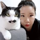 살롱드블리 | [뷰티/미용] 의정부 속눈썹 연장 / 살롱드블리 후기