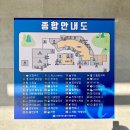 망향휴게소 하행 맛집 메뉴 총정리~ 돈까스 라면 간식 카페 후기 경부고속도로 부산방향