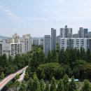 분당-315 이미지