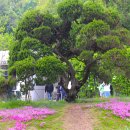 부천자연생태공원 이미지