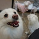 더 개편한세상 이미지