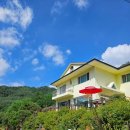 내린천펜션계곡사랑 이미지