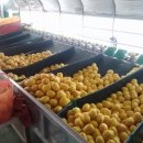 소영농장 이미지