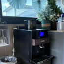개버랜드 | 애견동반숙소 충북 보은 개버랜드 내돈내산 찐 후기