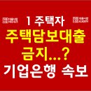 ＜속보＞기업은행 1주택자에 주택담보대출 금지된다고...? 주담대 취급 제한 총정리 ★★ 이미지