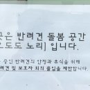 오도도 노리 이미지