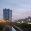 완사어탕칼국수