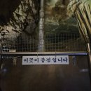 고씨굴 | [강원_영월] 영월 여행 코스 추천_4억 년의 신비를 들여다볼 수 있는 동굴 "영월고씨굴"