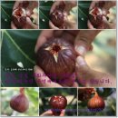 영배농장 이미지