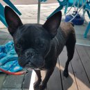 지에스25 용인스마트점 이미지