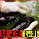 가지가지 이미지