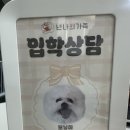 넌나의가족 네이버블로그